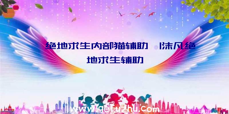 「绝地求生内部猫辅助」|沫凡绝地求生辅助